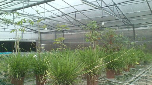 6165cc��ɳ��վ(China)������޹�˾-BinG�ٿ�