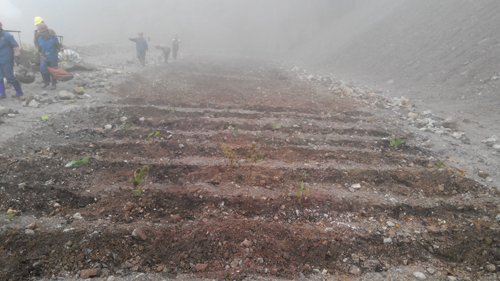 6165cc��ɳ��վ(China)������޹�˾-BinG�ٿ�