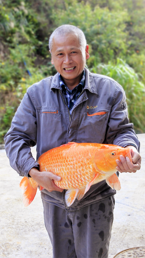 6165cc��ɳ��վ(China)������޹�˾-BinG�ٿ�