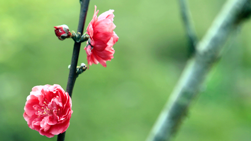 6165cc��ɳ��վ(China)������޹�˾-BinG�ٿ�