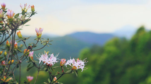 6165cc��ɳ��վ(China)������޹�˾-BinG�ٿ�