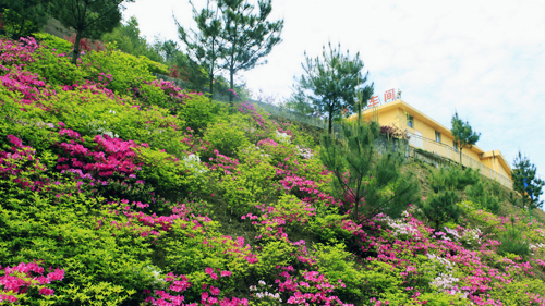 6165cc��ɳ��վ(China)������޹�˾-BinG�ٿ�