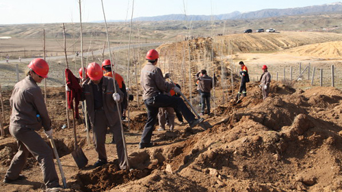 6165cc��ɳ��վ(China)������޹�˾-BinG�ٿ�