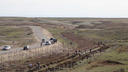 6165cc��ɳ��վ(China)������޹�˾-BinG�ٿ�