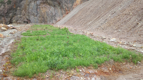 6165cc��ɳ��վ(China)������޹�˾-BinG�ٿ�