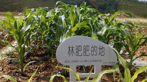 6165cc��ɳ��վ(China)������޹�˾-BinG�ٿ�