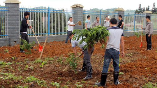 6165cc��ɳ��վ(China)������޹�˾-BinG�ٿ�