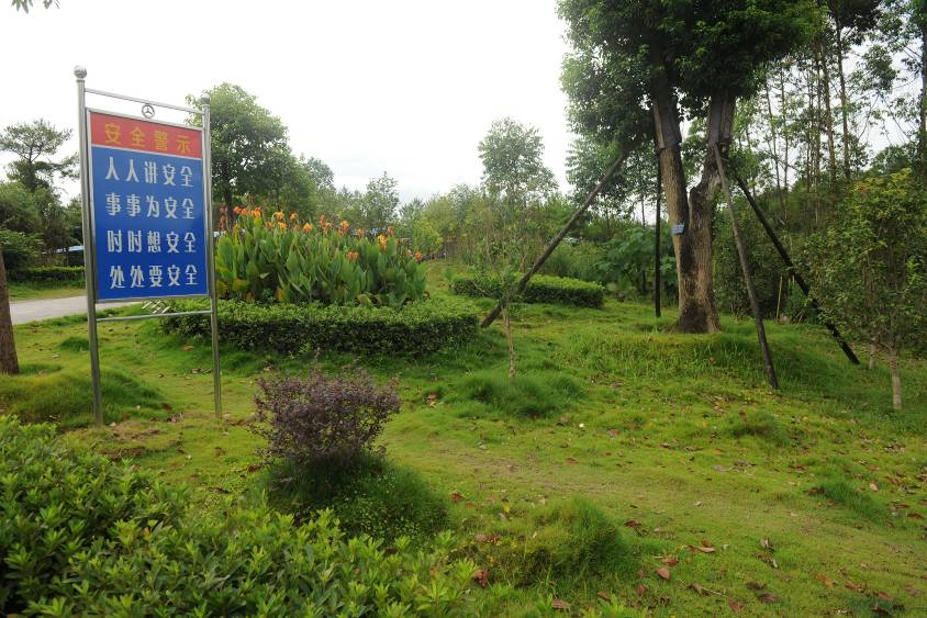 6165cc��ɳ��վ(China)������޹�˾-BinG�ٿ�