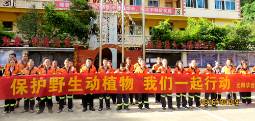 Ԫ���������С�����������Ұ����ֲ����������˶�