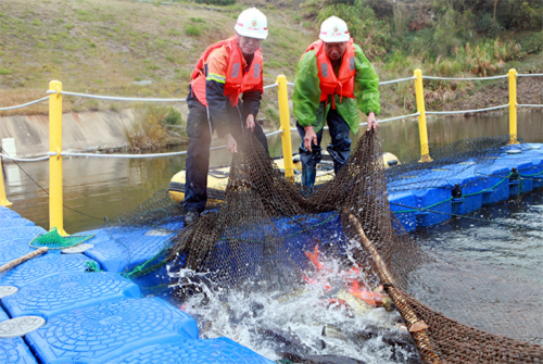 6165cc��ɳ��վɽ��͡��ˮ�������