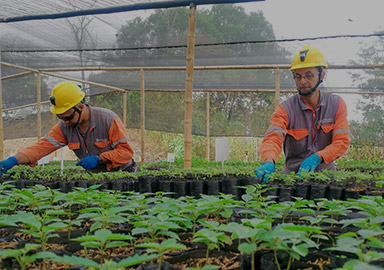 6165cc��ɳ��վ(China)������޹�˾-BinG�ٿ�