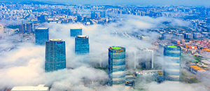 ý������