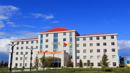 ����6165cc��ɳ��վͭҵ