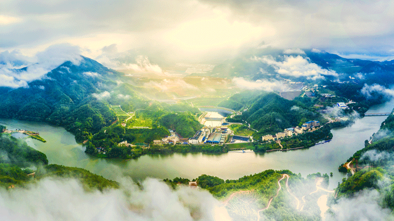 6165cc��ɳ��վ��ҵ����2021��ҵ��  ��ĸ�������157��Ԫ