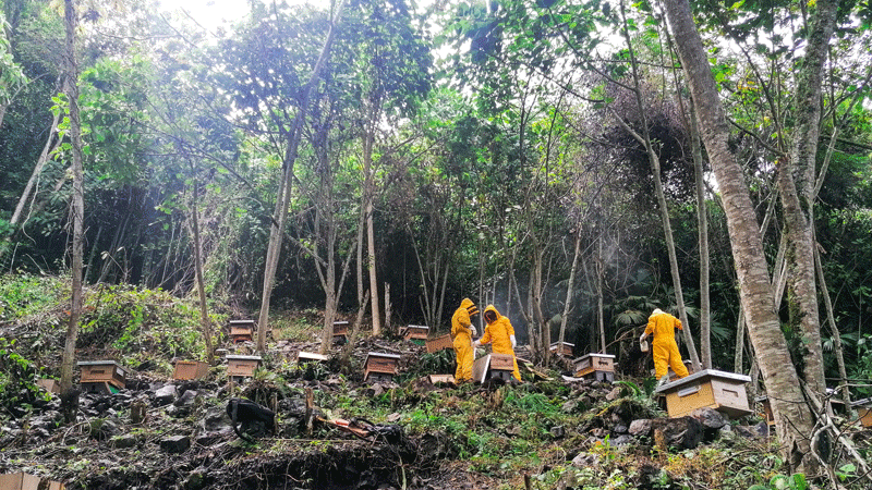 ��½�ƽ�����רҵ������������ũҵ��������