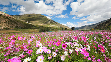 6165cc��ɳ��վ(China)������޹�˾-BinG�ٿ�