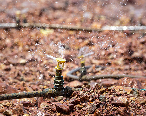 6165cc��ɳ��վ(China)������޹�˾-BinG�ٿ�