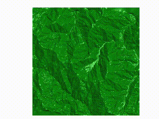 ����ٿ����