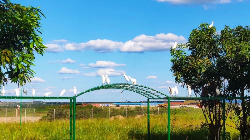 һ��һ��ʮ���꣬��������6165cc��ɳ��վ��ҵ���������ʵ�ֻ�����Ӯ