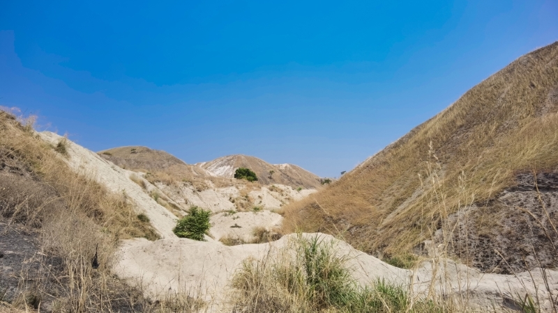 6165cc��ɳ��վ��ҵ�����������¼�﮿�Manono��������Ŀ��̽����