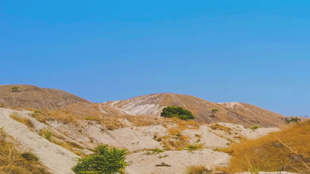 ��ŵŵ﮿󶫱�����̽��Ŀ