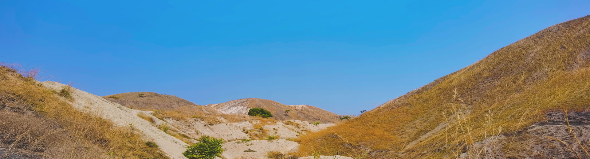 ��ŵŵ﮿󶫱�����̽��Ŀ