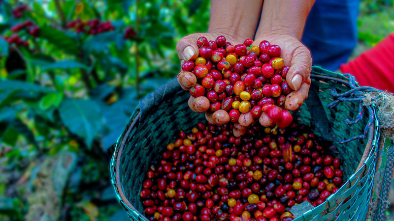 6165cc��ɳ��վ(China)������޹�˾-BinG�ٿ�