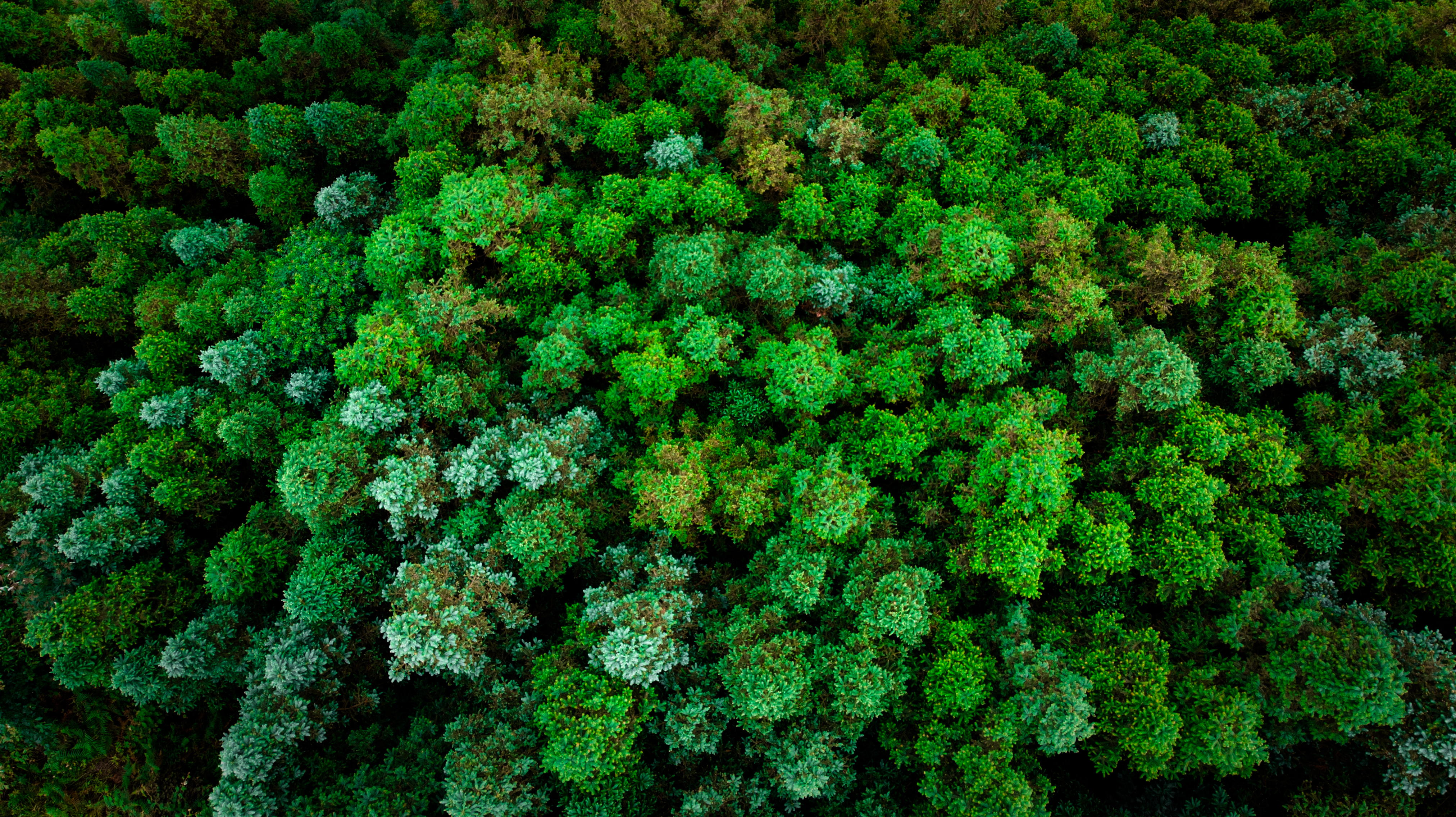 6165cc��ɳ��վ(China)������޹�˾-BinG�ٿ�