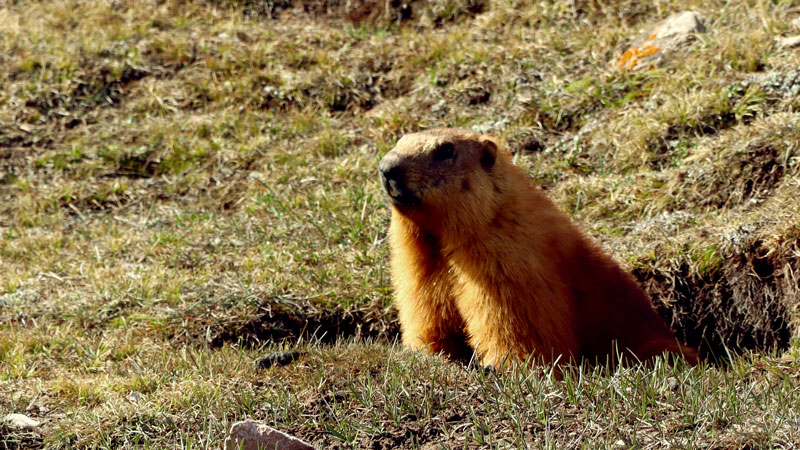 6165cc��ɳ��վ(China)������޹�˾-BinG�ٿ�