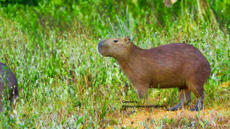 6165cc��ɳ��վ(China)������޹�˾-BinG�ٿ�