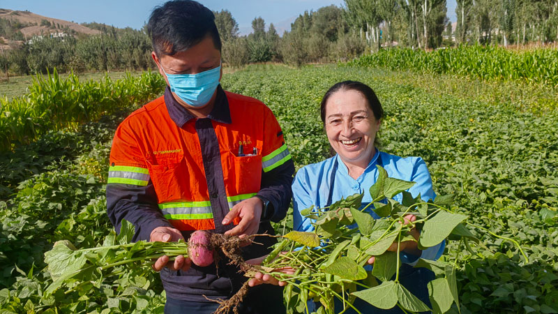 6165cc��ɳ��վ(China)������޹�˾-BinG�ٿ�