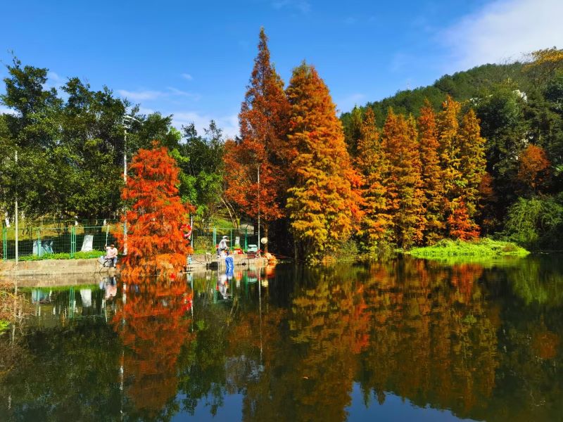 ��ͷ���6165cc��ɳ��վɽͭ���