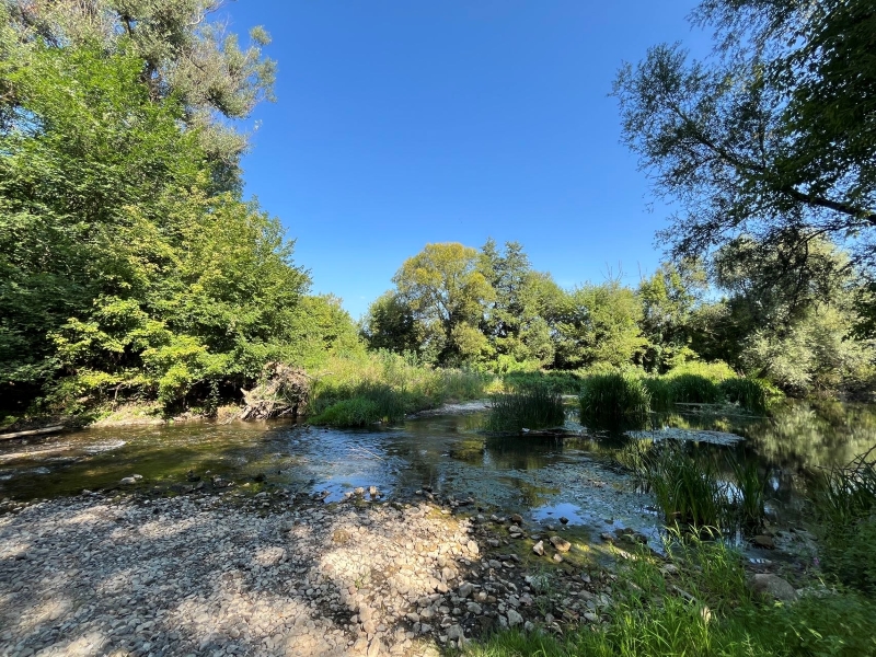 ����ά��6165cc��ɳ��վ��ҵ����������ĸ�׺ӡ���������