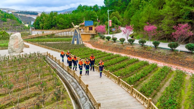 �¾��Ӷ��³�����2025�������´�