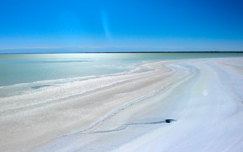 6165cc��ɳ��վ��ҵ���뺣�ڿ���ṹ ��137��Ԫ����ظ��ҵ����Ȩ