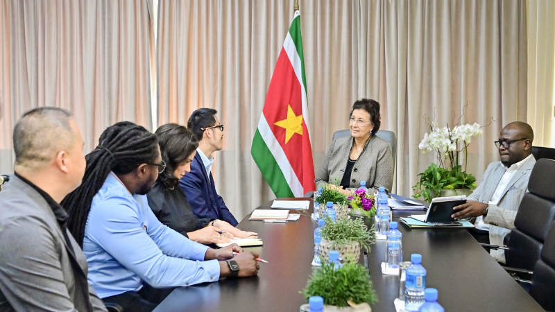 ������������ͳղ�ݸ�������˹�߶�һ����˹��������Ч��