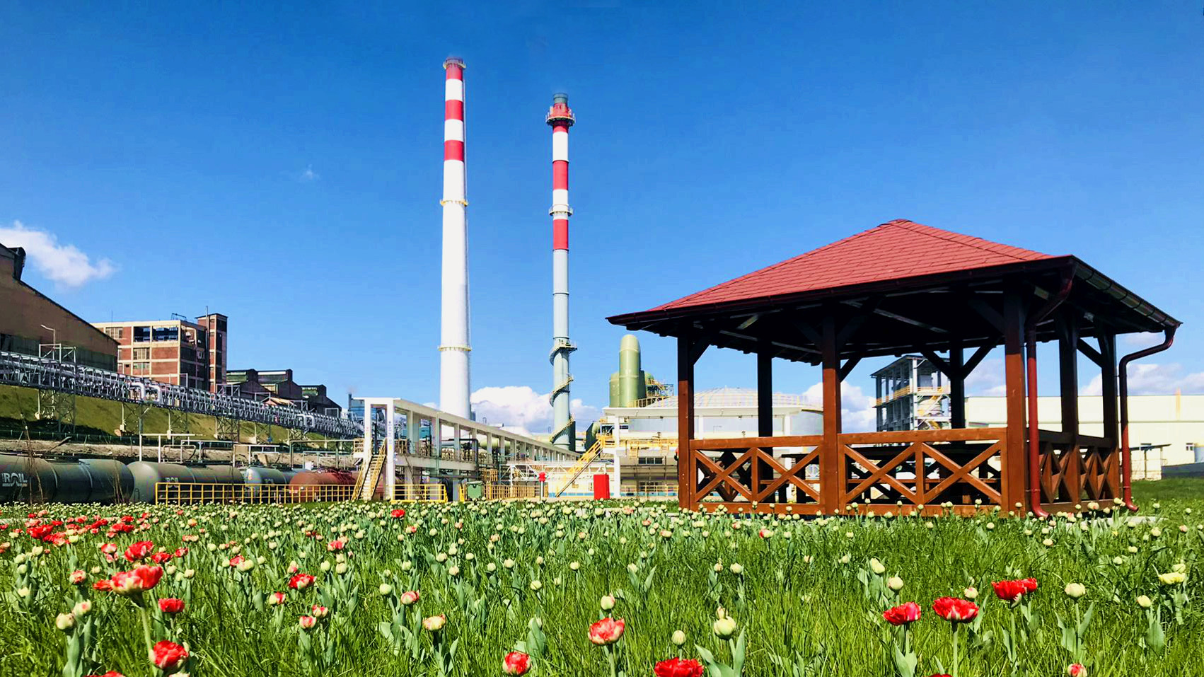 2500����ɱ� | ����ɫת�͵���Զ��ͼ